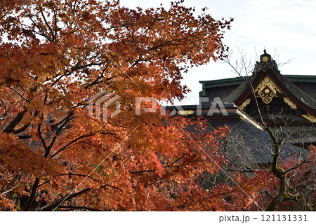 秋の天神さん　雨あがりのモミジと三光門【重要文化財】 121131331