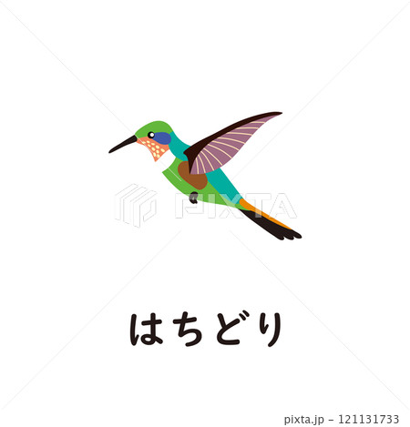 日本語ひらがなシリーズ―はちどり “は”のつくひらがなのイラスト素材