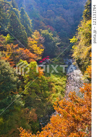 山中温泉・鶴仙渓の秋 121131764