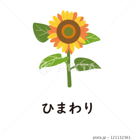 日本語ひらがなシリーズ―ひまわり　“ひ”のつくひらがな 121132361