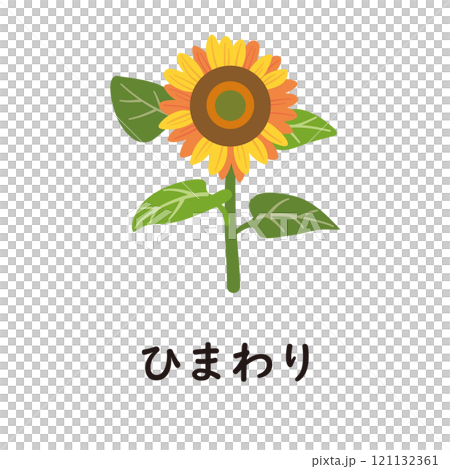 日本語ひらがなシリーズ―ひまわり　“ひ”のつくひらがな 121132361