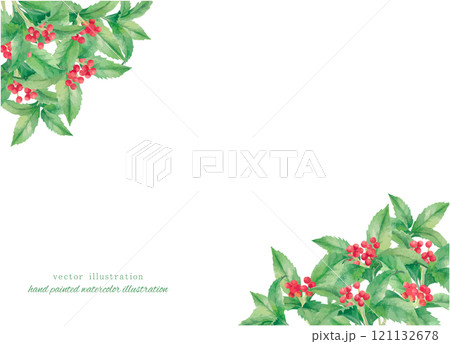 水彩手書きの赤いセンリョウの実のイラスト 121132678