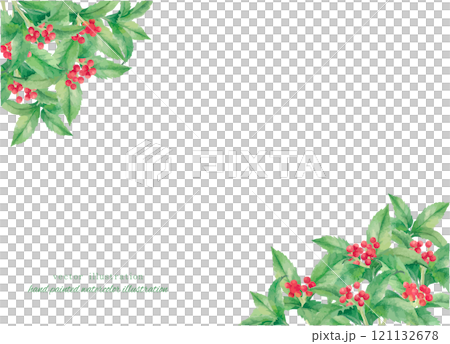 水彩手書きの赤いセンリョウの実のイラスト 121132678