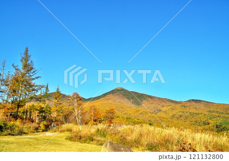 紅葉の登山道 紅葉の登山道 121132800