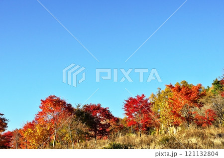 紅葉の登山道 紅葉の登山道 121132804