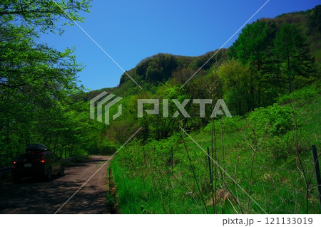 新緑の倉越パノラマラインの道路から倉越高原を仰ぎ見る 121133019