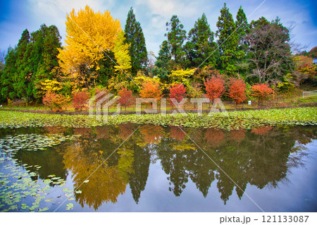 里山の秋 里山の秋 121133087