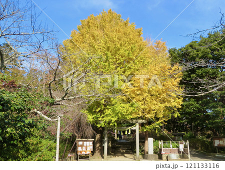葛原岡神社 葛原岡神社 121133116
