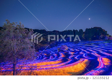 (千葉県)大山千枚田ライトアップ 棚田のあかり (千葉県)大山千枚田ライトアップ 棚田のあかり 121133212