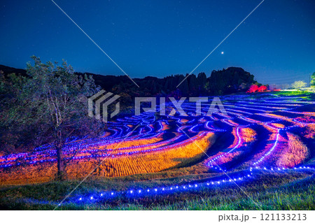 （千葉県）大山千枚田ライトアップ　棚田のあかり 121133213