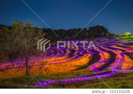 (千葉県)大山千枚田ライトアップ 棚田のあかり (千葉県)大山千枚田ライトアップ 棚田のあかり 121133220