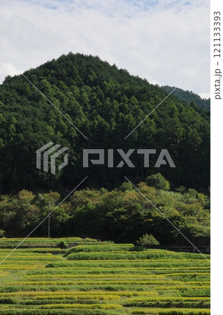 田舎の風景 121133393