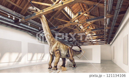 Dinosaur in an art gallery 121134106