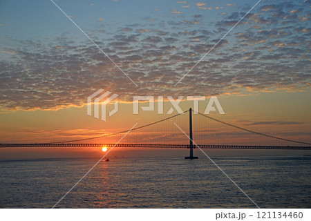 日の出、朝焼けの明石海峡大橋-9 日の出、朝焼けの明石海峡大橋-9 121134460