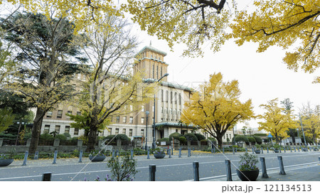 日本大通りの紅葉 121134513