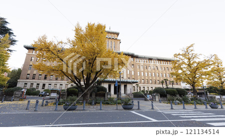 日本大通りの紅葉 121134514