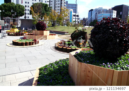 熊本市中心市街地　花畑広場界隈の街並み（辛島公園） 121134697