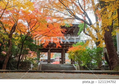 功山寺山門 功山寺山門 121134702