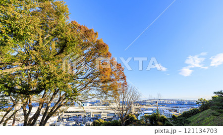 横浜市港の見える丘公園の秋 横浜市港の見える丘公園の秋 121134703
