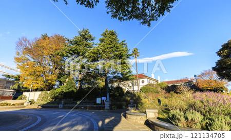 横浜市港の見える丘公園の秋 121134705