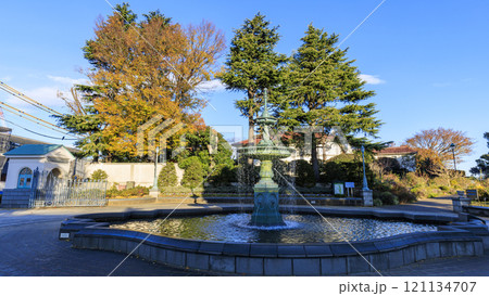 横浜市港の見える丘公園の秋 横浜市港の見える丘公園の秋 121134707