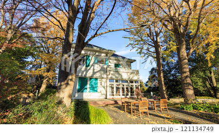 山手西洋館の冬 山手西洋館の冬 121134749