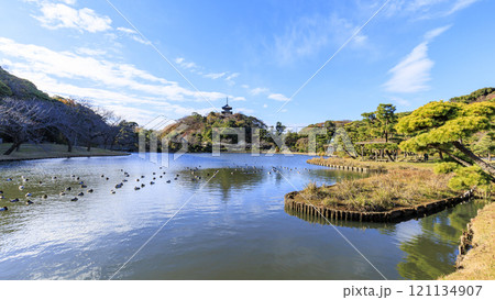 横浜本牧三渓園・三溪園の紅葉 121134907