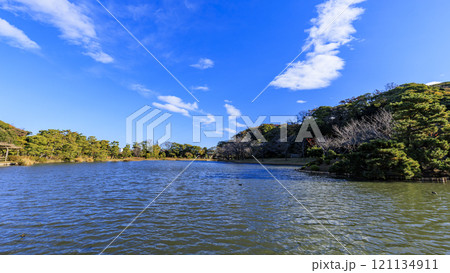 横浜本牧三渓園・三溪園の紅葉 121134911