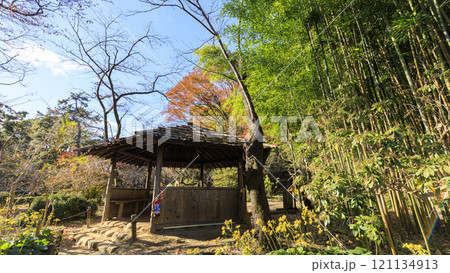 横浜本牧三渓園・三溪園の紅葉 横浜本牧三渓園・三溪園の紅葉 121134913
