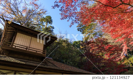 横浜本牧三渓園・三溪園の方向 横浜本牧三渓園・三溪園の方向 121134927