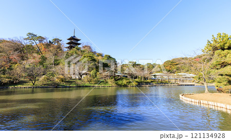 横浜本牧三渓園・三溪園の方向 横浜本牧三渓園・三溪園の方向 121134928