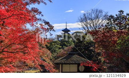 横浜本牧三渓園・三溪園の方向 121134929