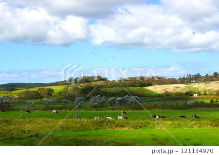 宗谷本線からの車窓風景　酪農地帯 121134970