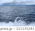 躍動感あふれる波しぶき 121135281