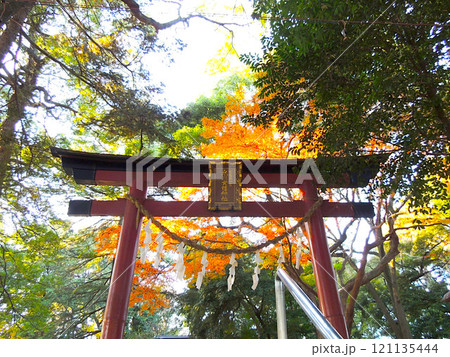 氷川女體神社 121135444