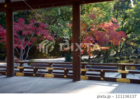 上賀茂神社 ならの小川の紅葉と橋殿 京都市北区 上賀茂神社 ならの小川の紅葉と橋殿 京都市北区 121136137