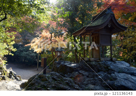 上賀茂神社　岩本神社と紅葉　京都市北区 121136143