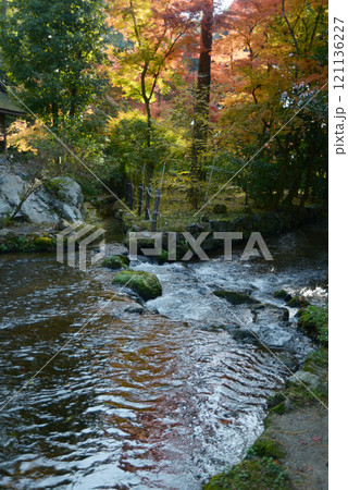 上賀茂神社　ならの小川の紅葉　京都市北区 121136227