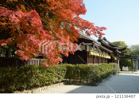 下鴨神社　三井神社の紅葉　京都市左京区 121136407