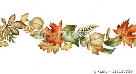 Autumn foliage. Fall leaves seamless border. Maple, oak, fern, rowan, birch, ginkgo. Watercolor hand drawn floral illustration isolated on white background for fall design, home textile, cozy prints 121136752