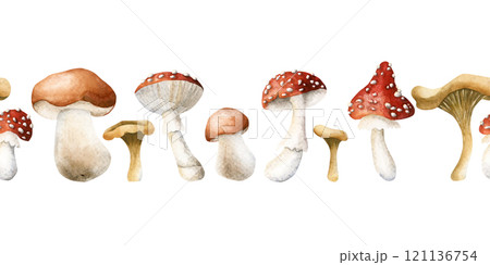 Mushroom Seamless Border. Boletus, fly agaric and chanterelles. Watercolor hand drawn isolated floral illustration for fall design, botanical cards, cozy prints, labels, home decor, kitchen textile 121136754
