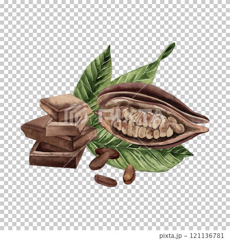 A bar of chocolate, a cocoa fruit with grains inside lies on the green leaves of a cocoa tree. The illustration with the composition of the plant and dessert is hand-painted in watercolor 121136781