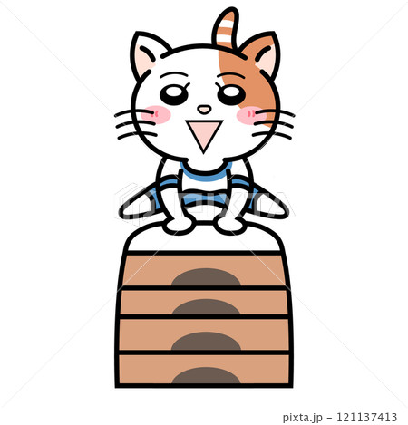 跳び箱を飛ぶネコ 121137413