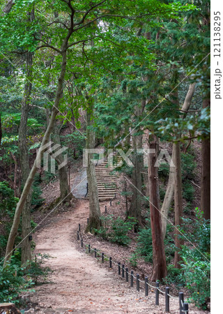 緑に包まれた林道 121138295
