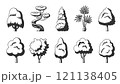 Tree icon set. Dracaena willow cypress thuja pine oak poplar birch spruce maple baobab palm sequoia aspen alder ash linden acacia chestnut. Black stamp stencil of forest stylized eco plants side view 121138405