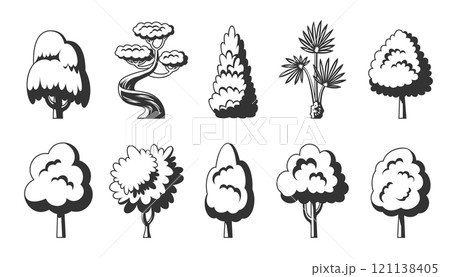 Tree icon set. Dracaena willow cypress thuja pine oak poplar birch spruce maple baobab palm sequoia aspen alder ash linden acacia chestnut. Black stamp stencil of forest stylized eco plants side view 121138405