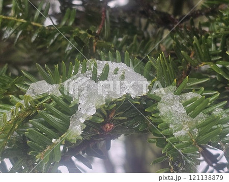 雪の朝 雪の朝 121138879