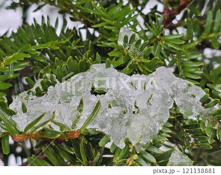 雪の朝 121138881