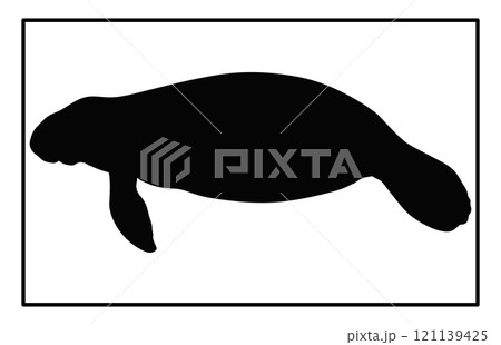 Manatee Silhouette ,Animal Icons, Sea life, Ocean Manatee Silhouette ,Animal Icons, Sea life, Ocean 121139425