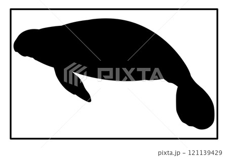 Manatee Silhouette ,Animal Icons, Sea life, Ocean 121139429